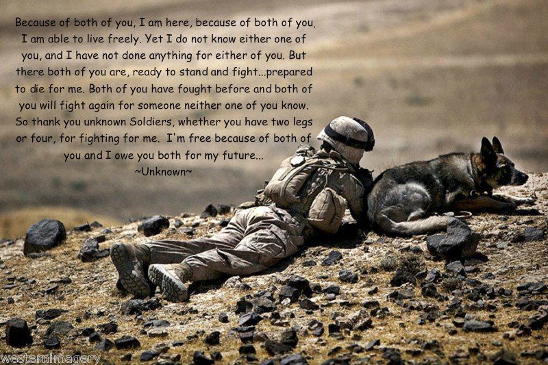 military dogs Quotes